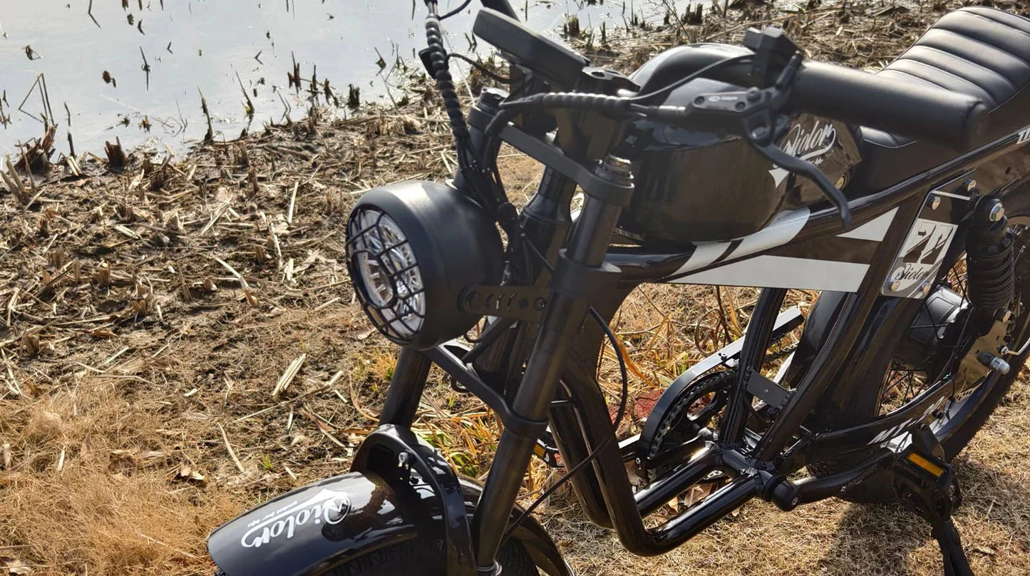QIOLOR Tiger Long Range Moped-Style E-Bike