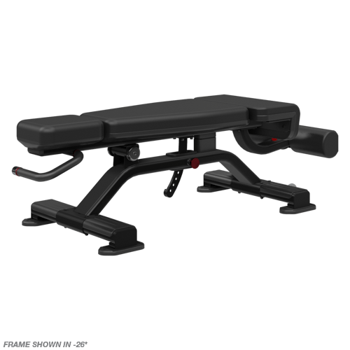 Nautilus Adjustable Decline Bench