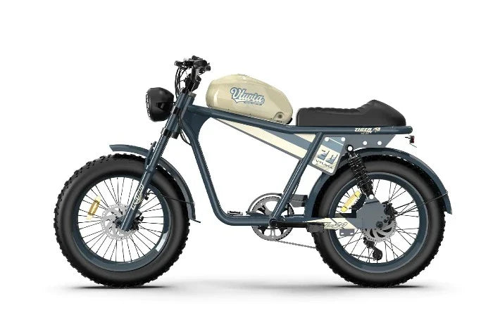 QIOLOR Tiger Long Range Moped-Style E-Bike