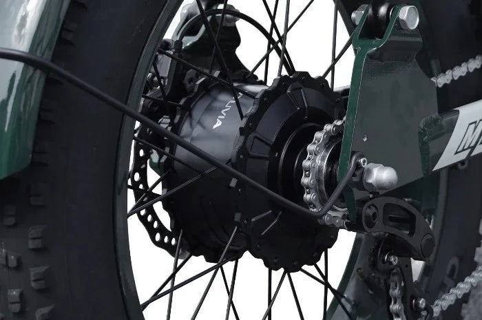 QIOLOR Tiger Long Range Moped-Style E-Bike
