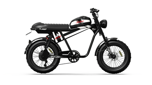 QIOLOR Tiger Plus Full Suspension Fat Tire E-Bike