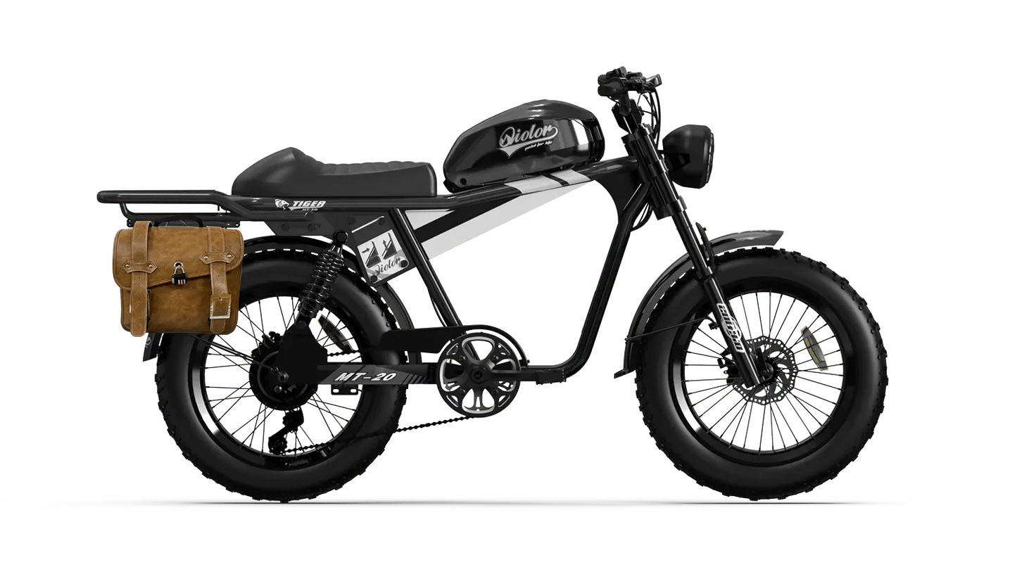 QIOLOR Tiger Long Range Moped-Style E-Bike