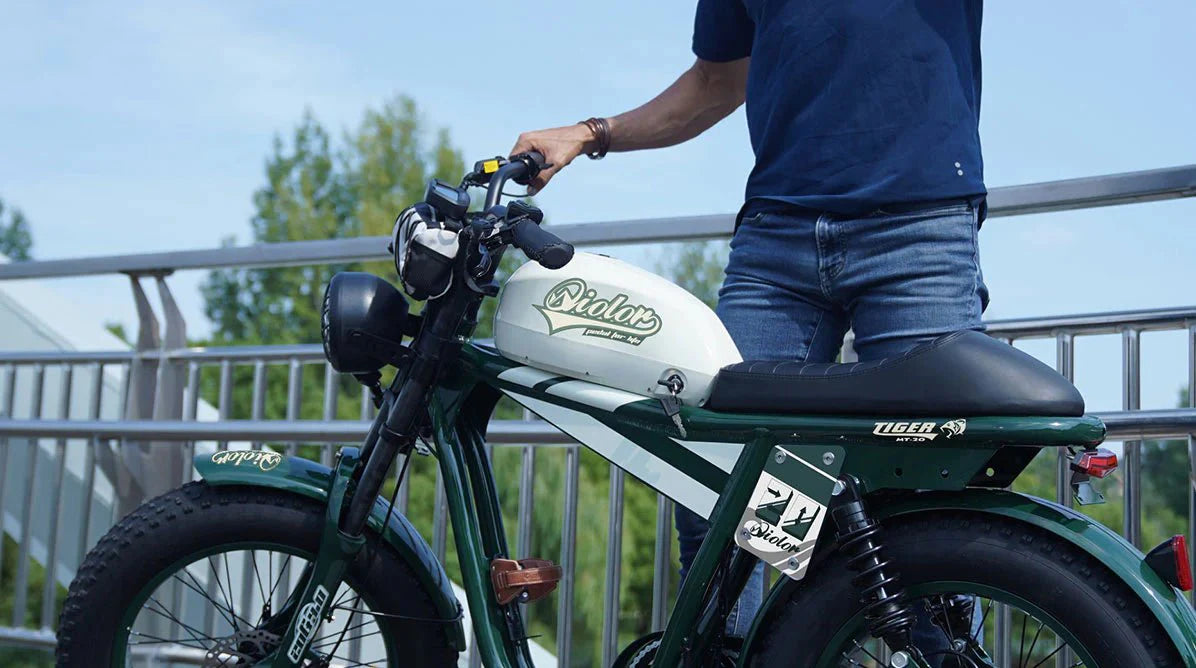 QIOLOR Tiger Long Range Moped-Style E-Bike