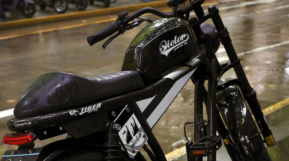 QIOLOR Tiger Long Range Moped-Style E-Bike