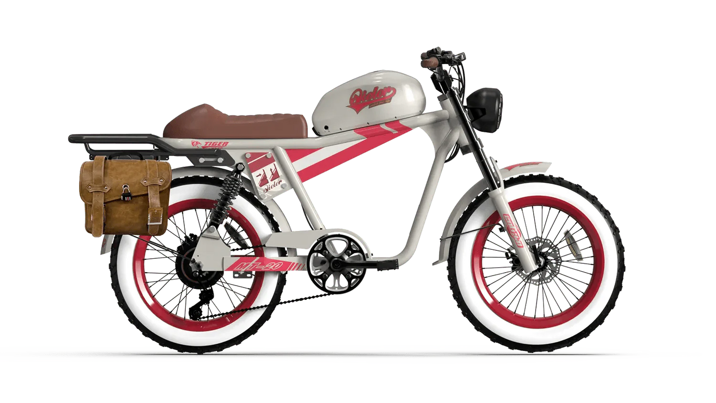 QIOLOR Tiger Long Range Moped-Style E-Bike
