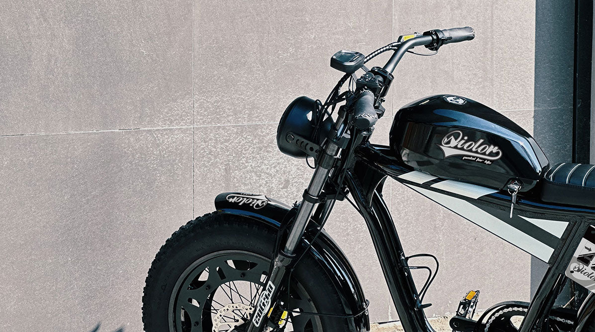 QIOLOR Tiger Long Range Moped-Style E-Bike