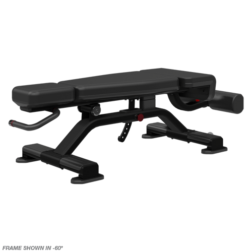 Nautilus Adjustable Decline Bench