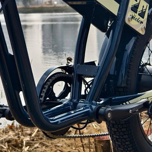 QIOLOR Tiger Long Range Moped-Style E-Bike