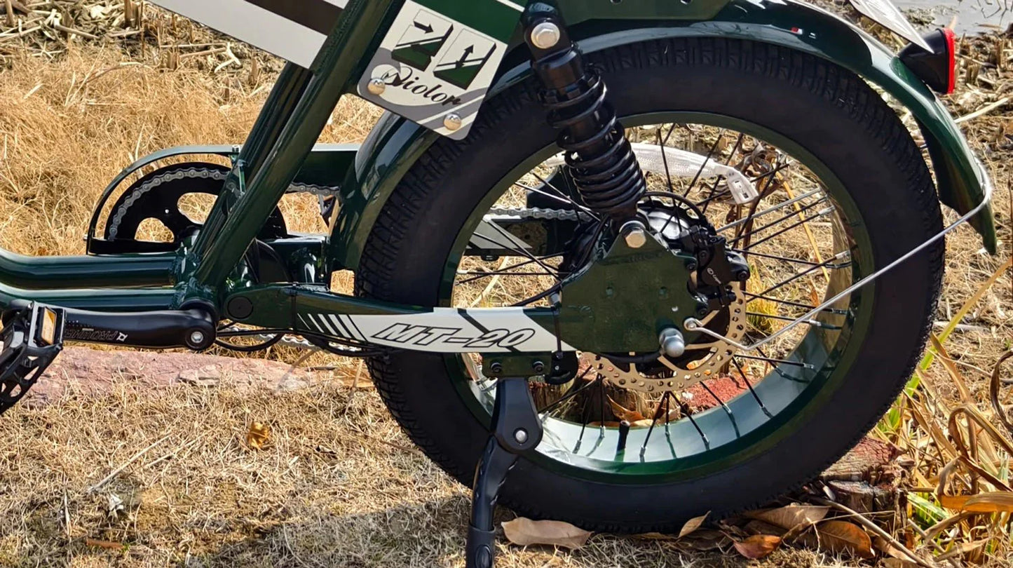 QIOLOR Tiger Long Range Moped-Style E-Bike