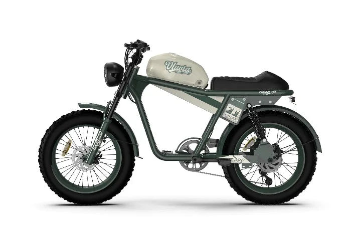 QIOLOR Tiger Long Range Moped-Style E-Bike