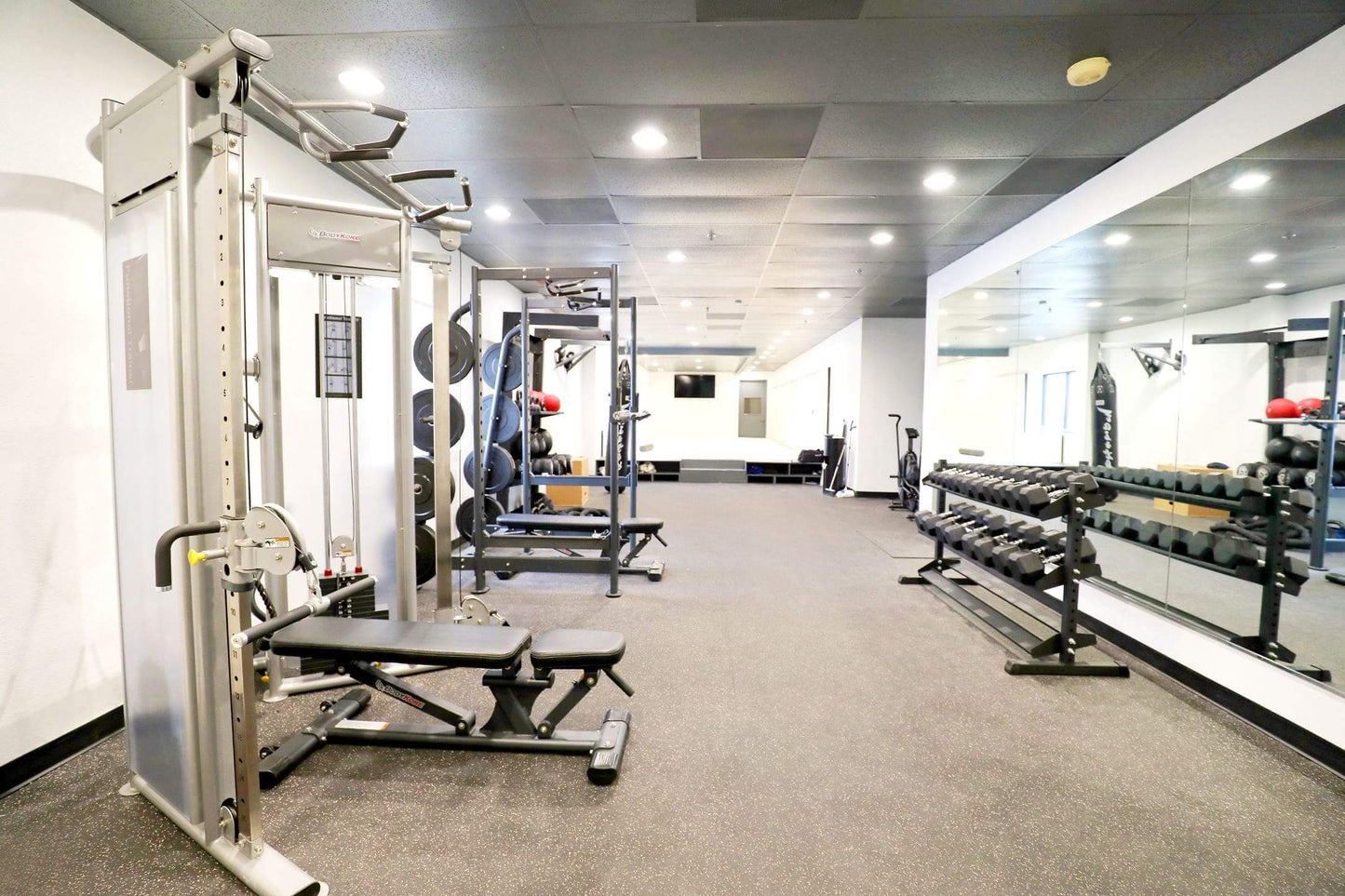 BodyKore Dual Adjustable Pulley System- Functional Trainer- MX1161