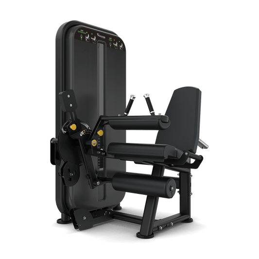 Vision Fitness Leg Extension / Leg Curl