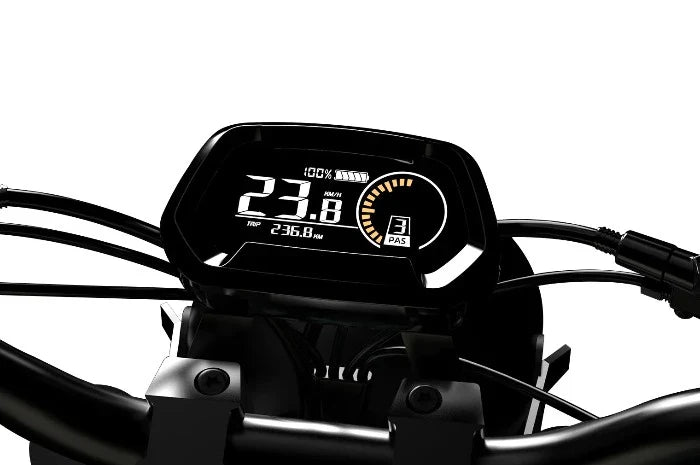 QIOLOR Tiger Long Range Moped-Style E-Bike